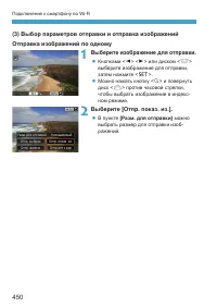 Страница 450