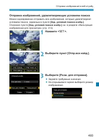 Страница 493