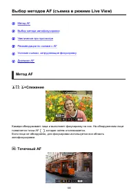 Страница 185