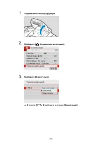 Страница 245