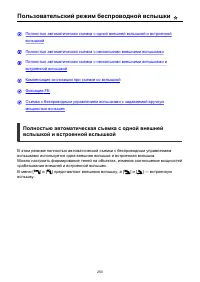 Страница 250