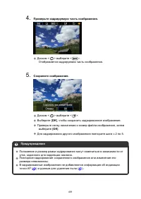 Страница 491