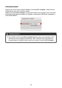 Страница 229