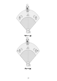 Страница 261