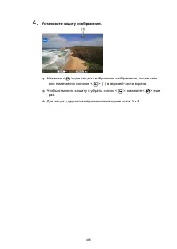 Страница 438