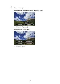 Страница 447