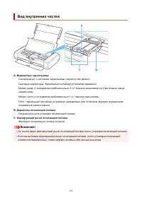 Страница 135