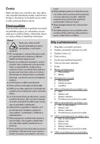 Страница 101