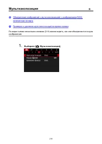 Страница 218