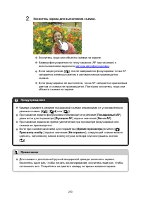 Страница 250