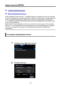 Страница 509