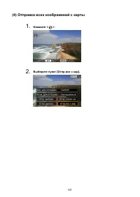 Страница 597