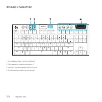 Страница 204