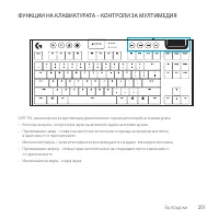 Страница 251