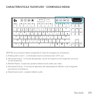 Страница 295