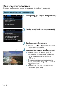 Страница 310