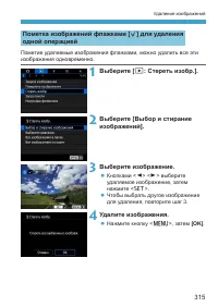 Страница 315