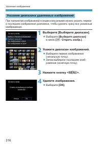 Страница 316