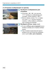 Страница 442