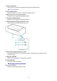 Страница 116