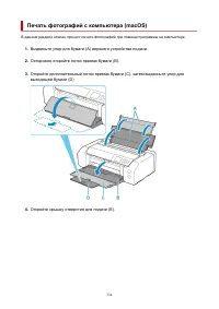 Страница 334