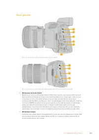 Страница 343