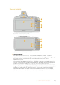 Страница 505