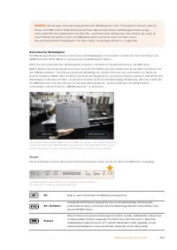 Страница 524