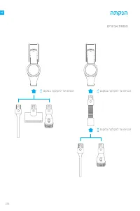 Страница 259