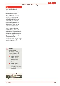 Страница 239