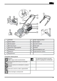 Страница 165