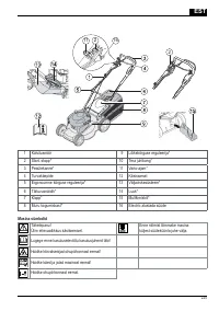 Страница 225