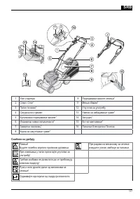 Страница 117