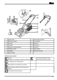 Страница 213