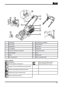 Страница 225