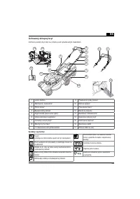 Страница 163