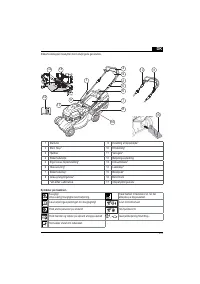 Страница 219