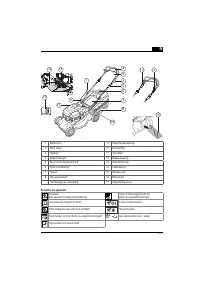 Страница 247