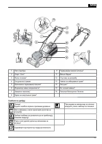 Страница 117