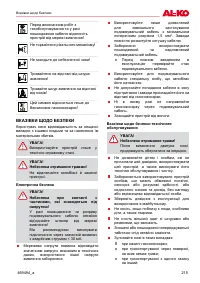 Страница 215