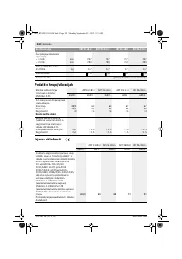 Страница 243