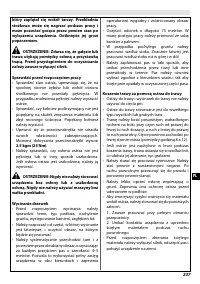 Страница 243