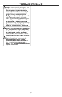 Страница 234