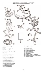 Страница 243