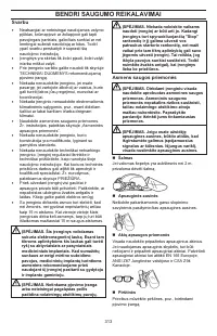Страница 313