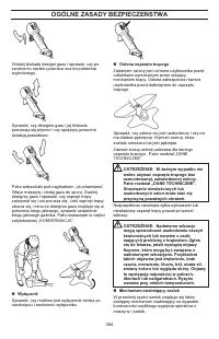 Страница 384