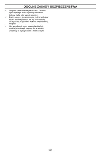 Страница 387