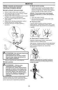 Страница 388