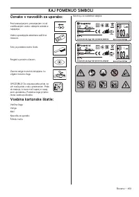 Страница 453