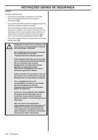 Страница 234